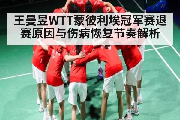 王曼昱WTT蒙彼利埃冠军赛退赛原因与伤病恢复节奏解析